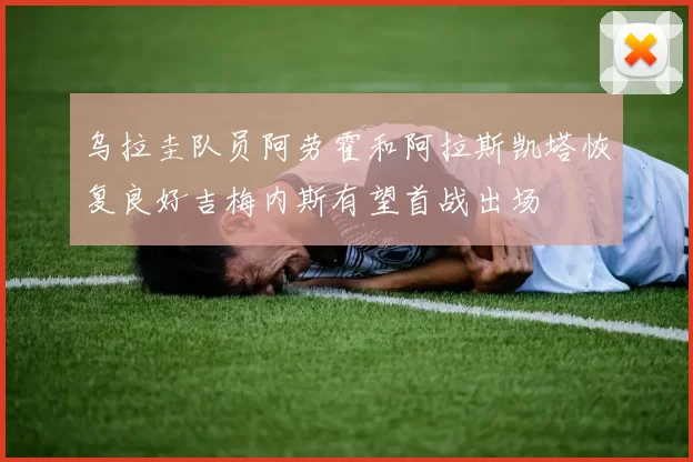 乌拉圭队员阿劳霍和阿拉斯凯塔恢复良好吉梅内斯有望首战出场